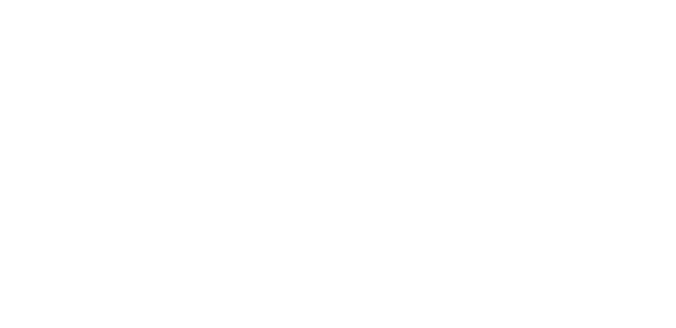 Logo white