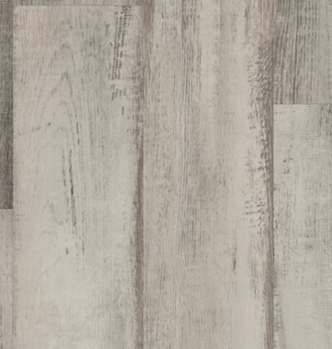 Fresh Driftwood