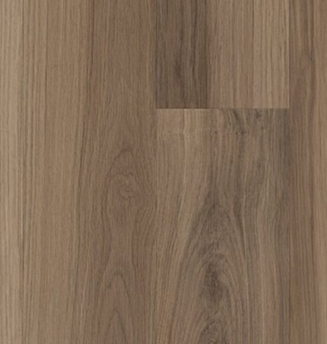 Almond Oak