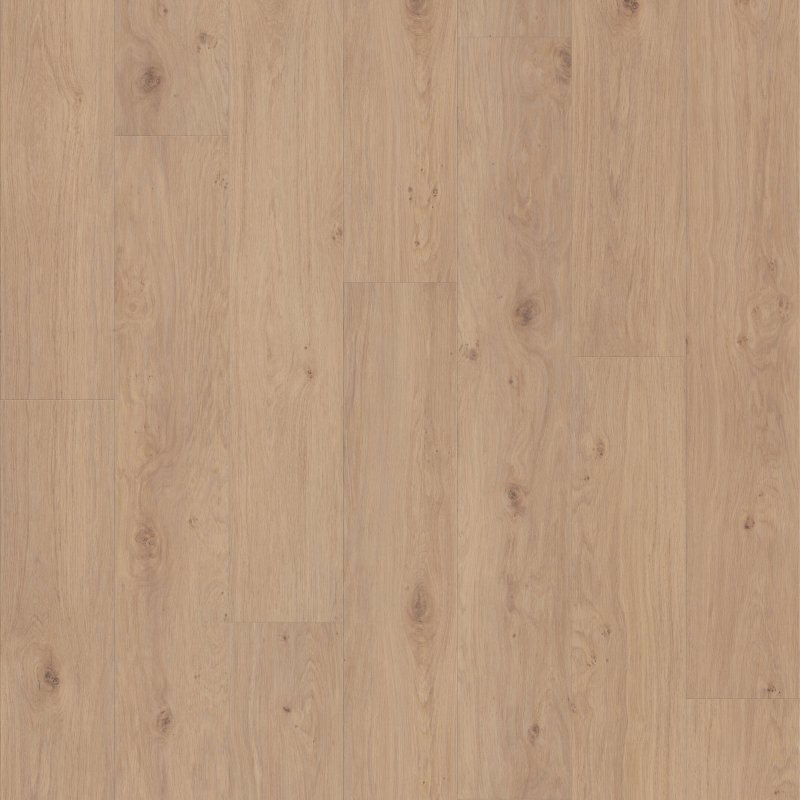 Occasional Beige