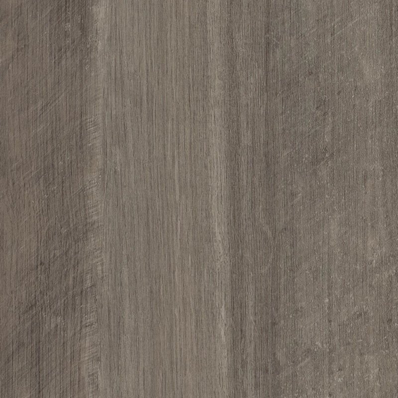 Oyster Oak