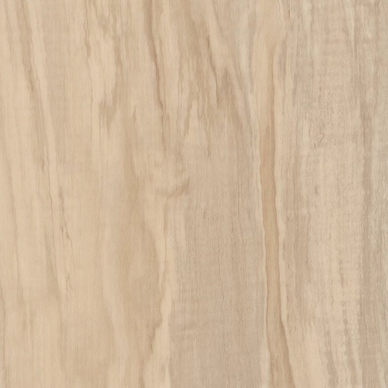 Spalted Maple