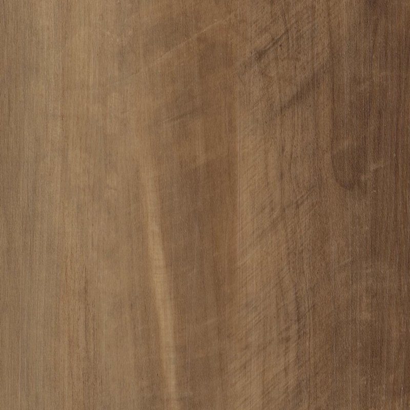 Tawny Oak
