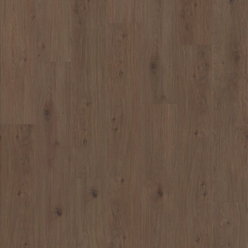 Tuxedo Bronze