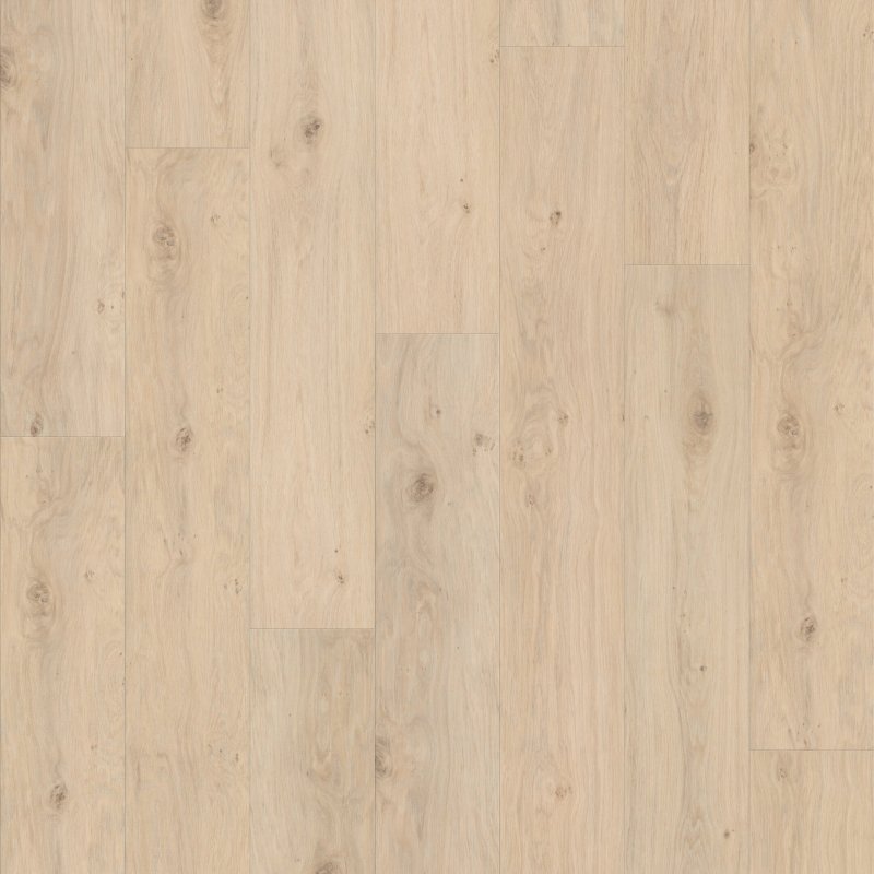 Wishbone White
