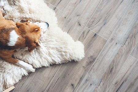 Pet friendly vinyl flooring in an American home