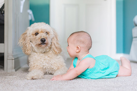 Matching carpet colors in a family home