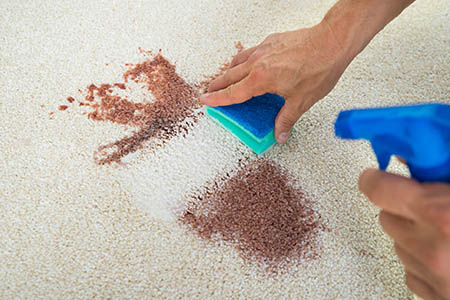 Carpet cleaning tips from National Floors Direct