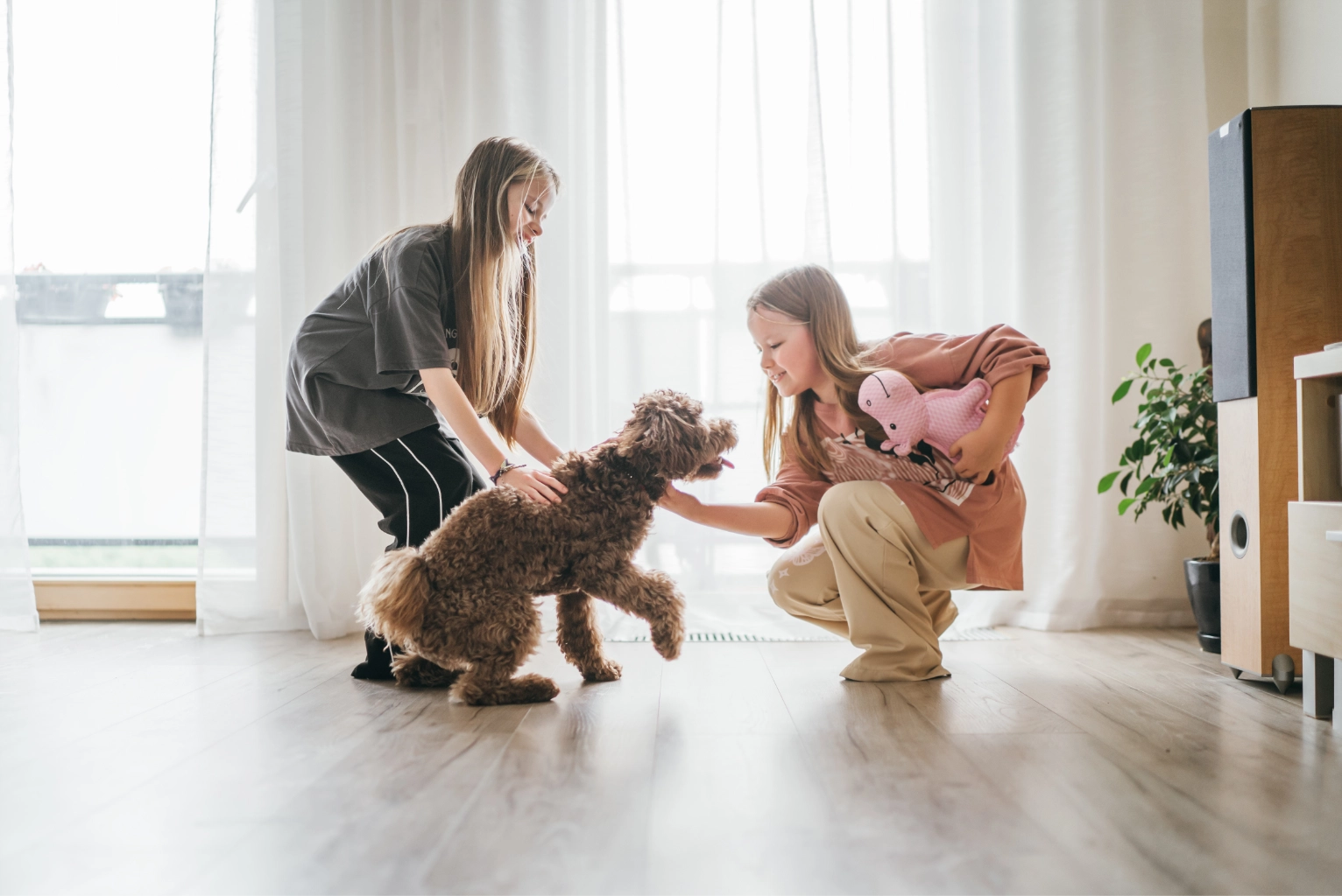 Two young girls playing with a brown curly-haired dog in a bright room with large windows.