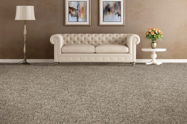 How Often Should I Get My Carpet Professionally Cleaned?